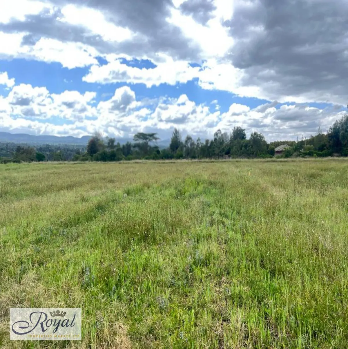 Prime 100 Acres Agricultural Land for Sale in Nyeri, Mweiga