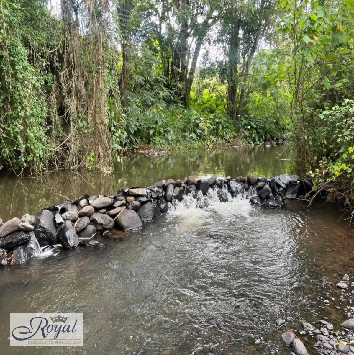 Prime 100 Acres Agricultural Land for Sale in Nyeri, Mweiga