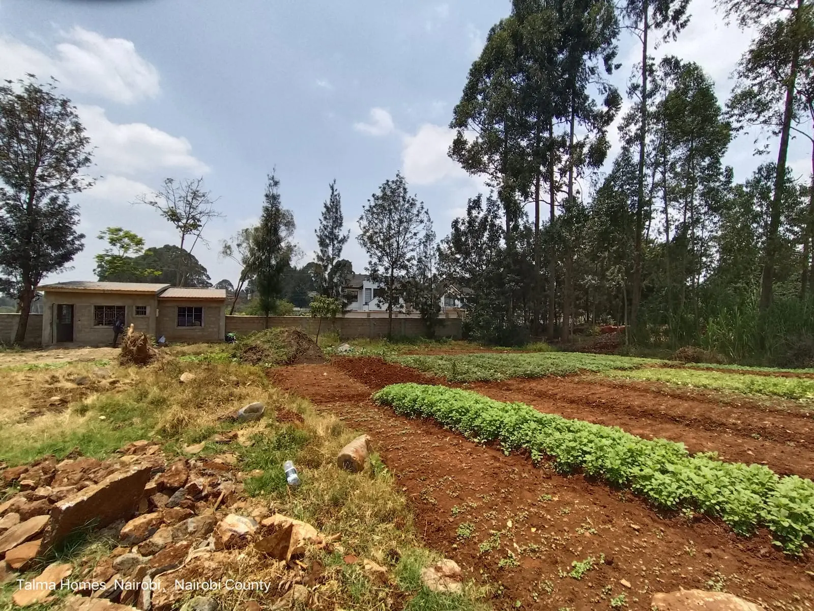 Prime 0.5 acre land for sale in loresho