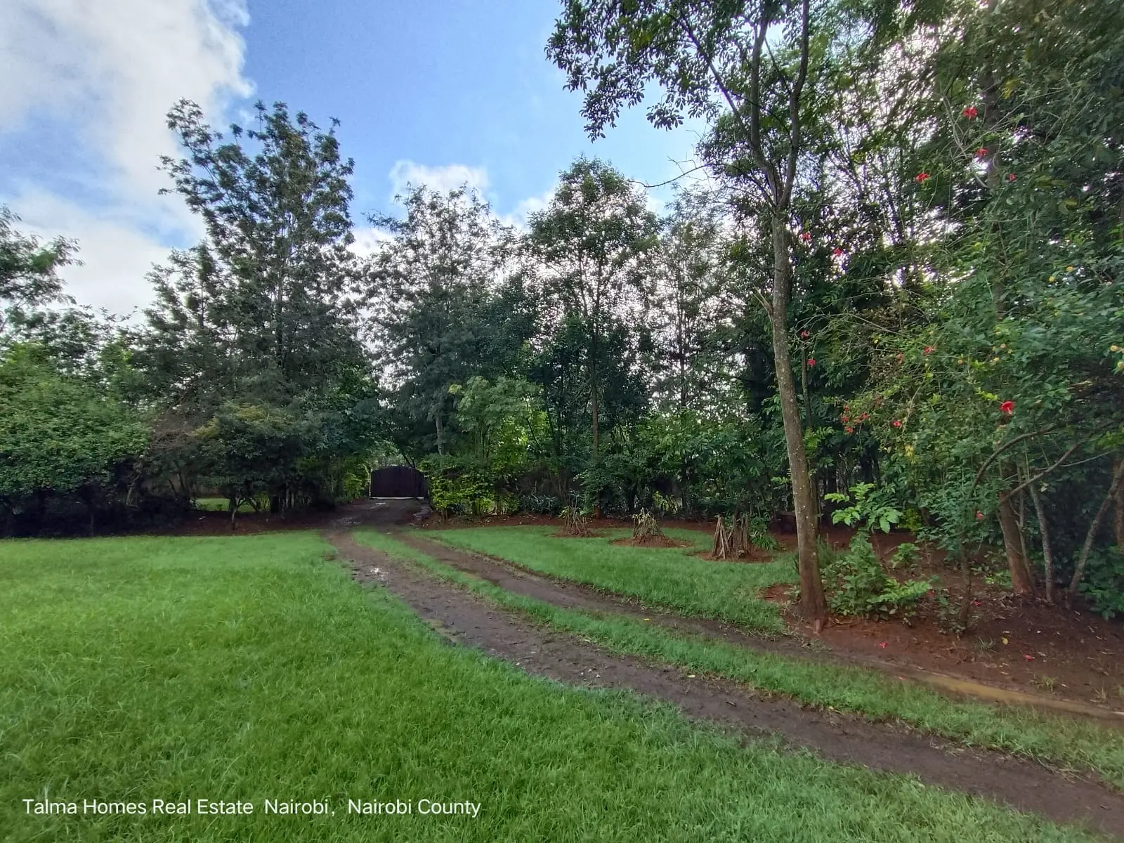 prime 0.5 acre residential land for sale in karen Plains