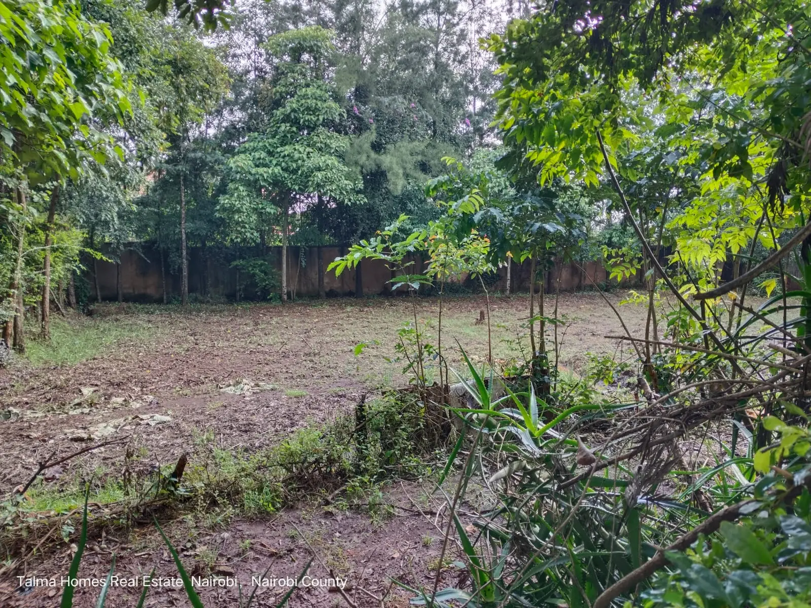 prime 0.5 acre residential land for sale in karen Plains