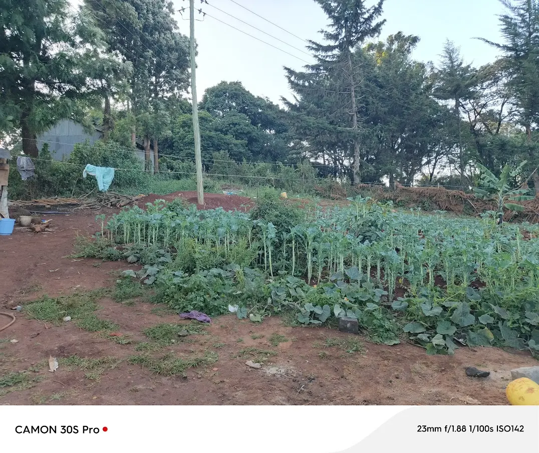 Prime 0.2 acre commercial plot for sale in Ngong