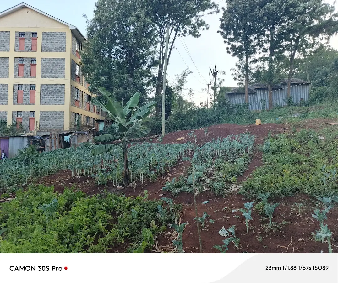 Prime 0.2 acre commercial plot for sale in Ngong