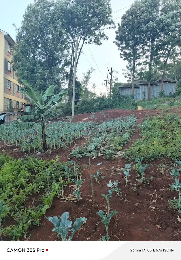 Prime 0.2 acre commercial plot for sale in Ngong