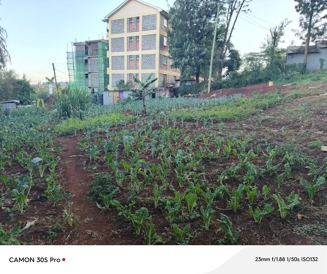 Prime 0.2 acre commercial plot for sale in Ngong