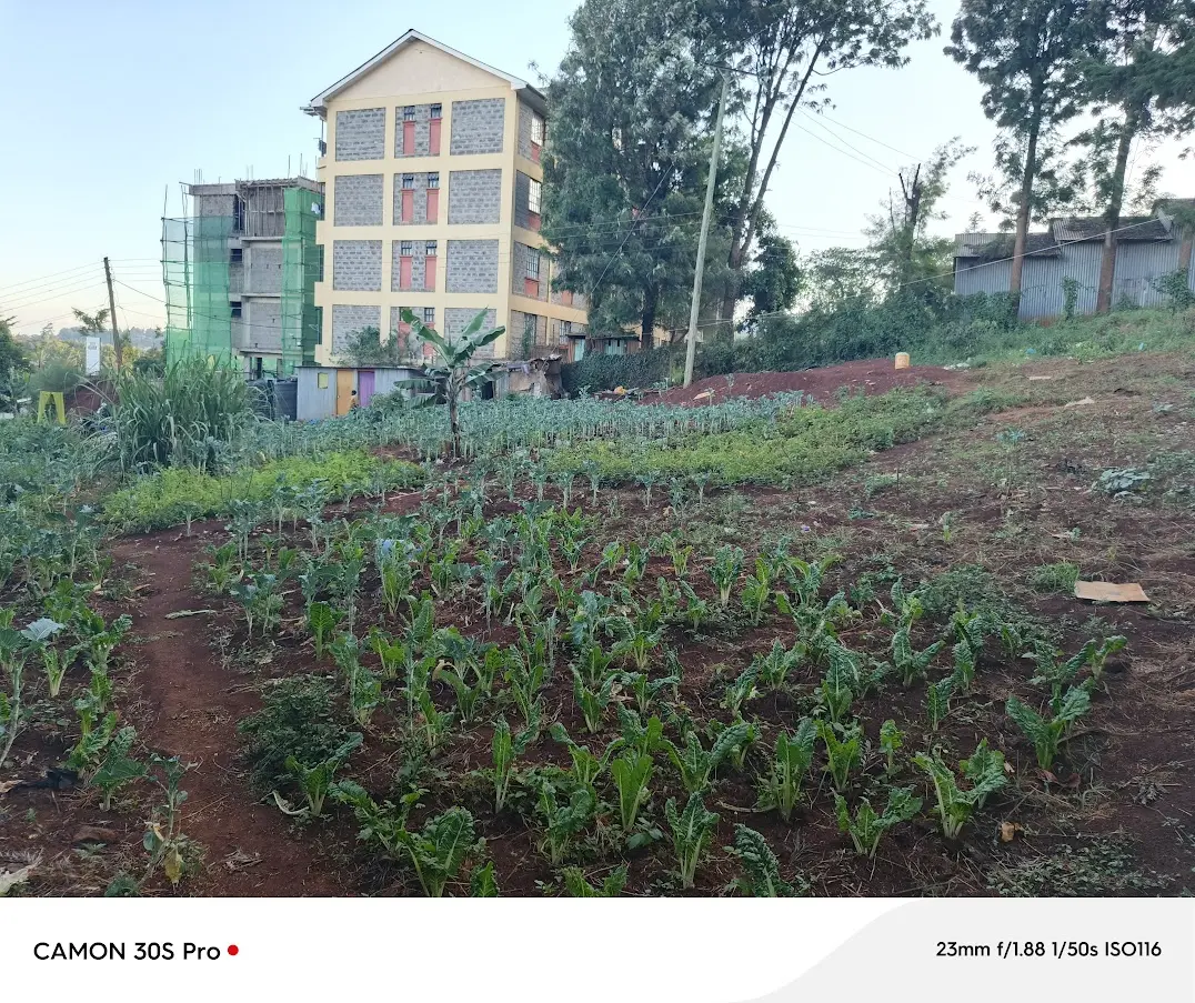 Prime 0.2 acre commercial plot for sale in Ngong