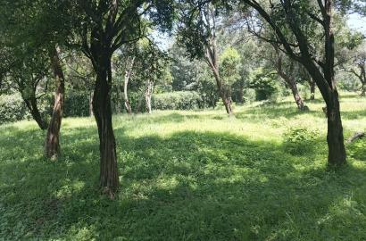 0.5 acre prime residential land for sale in karen