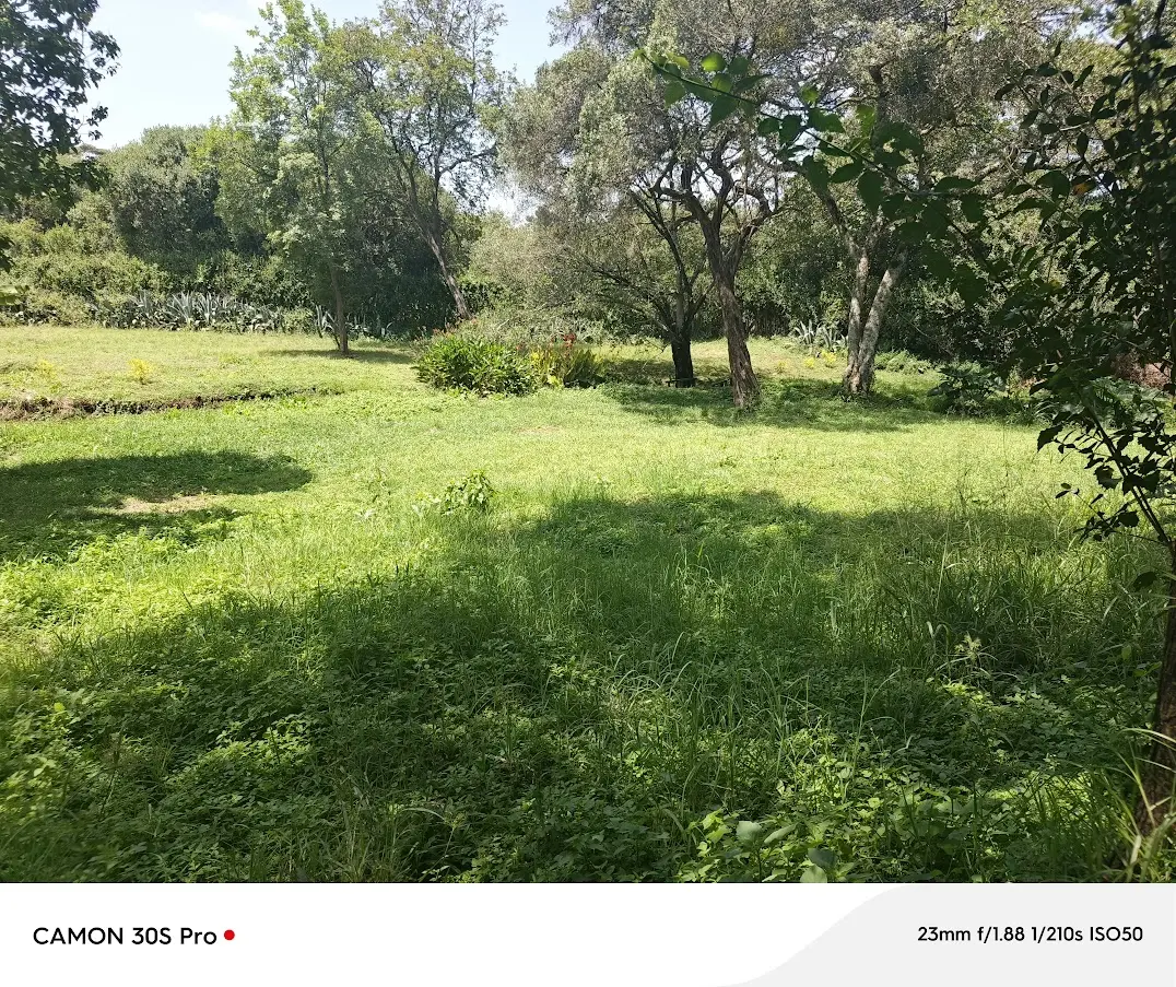 0.5 acre prime residential land for sale in karen