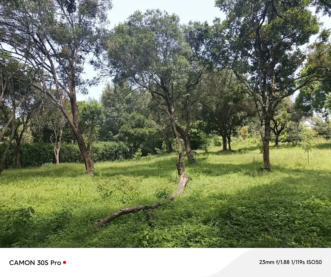 0.5 acre prime residential land for sale in karen