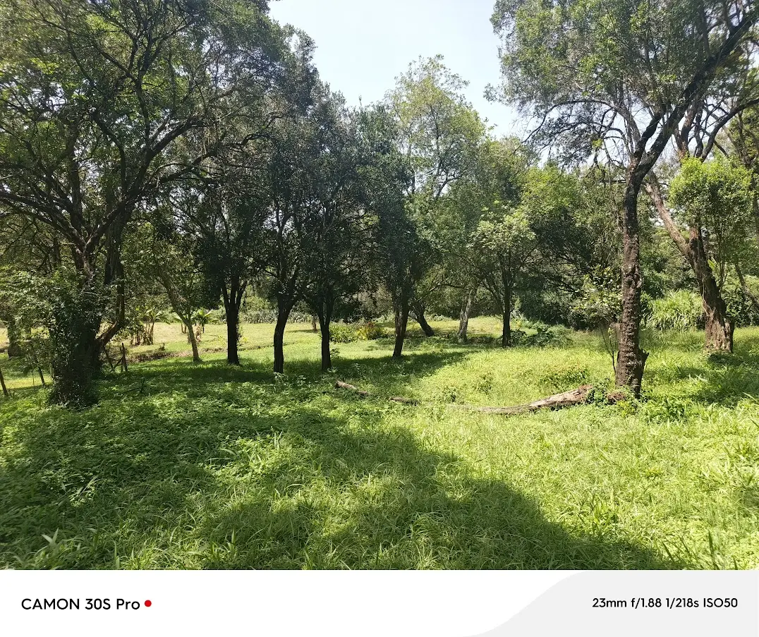 0.5 acre prime residential land for sale in karen