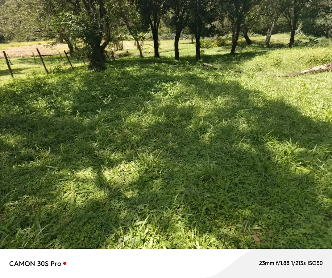 0.5 acre prime residential land for sale in karen