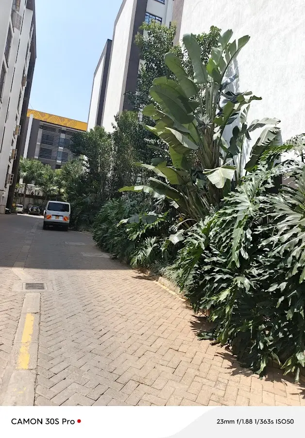 3 bedroomed apartment fully furnished and serviced to let in langata