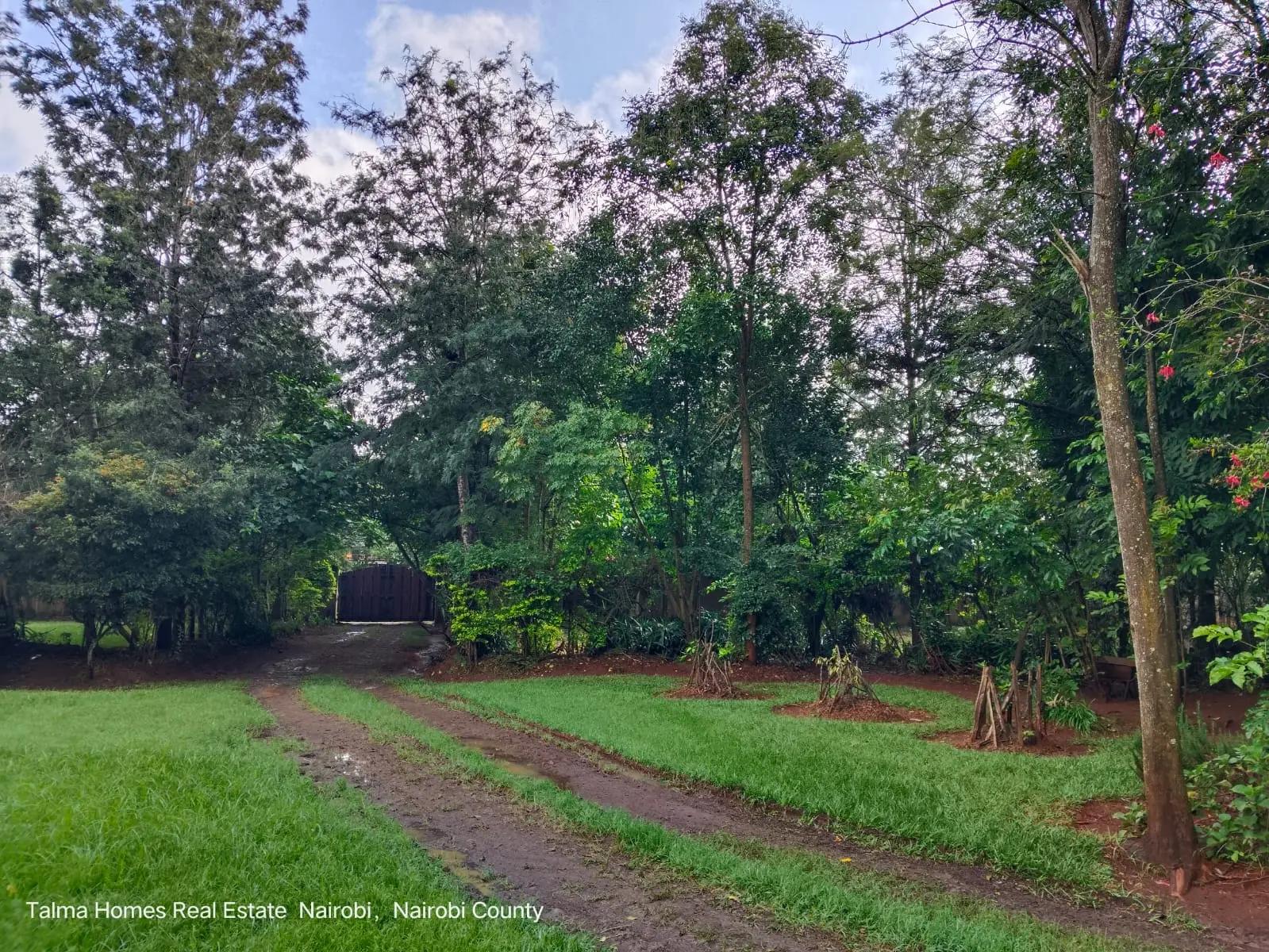 prime 0.5 acre residential land for sale in karen Plains