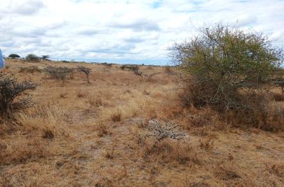 0.25 Prime Land for sale in Kisaju