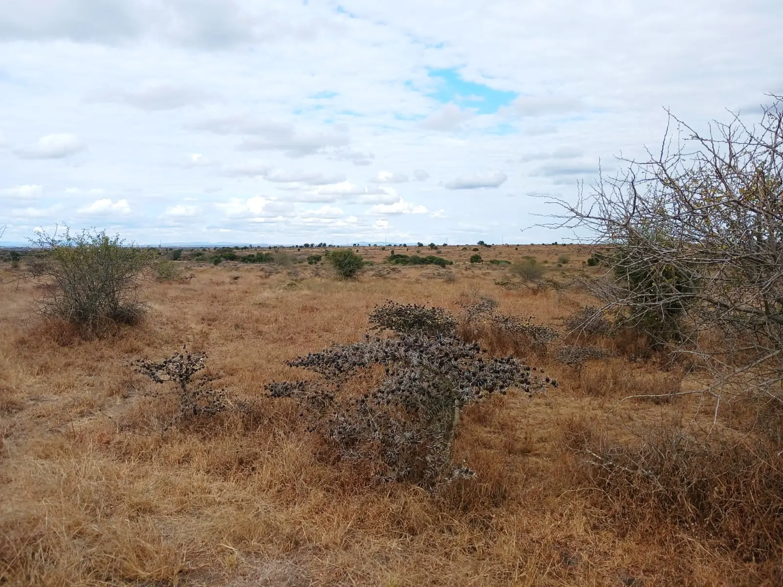0.25 Prime Land for sale in Kisaju
