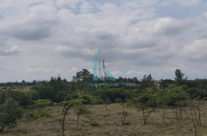 Prime 3 Acre Land for Sale in Nanyuki