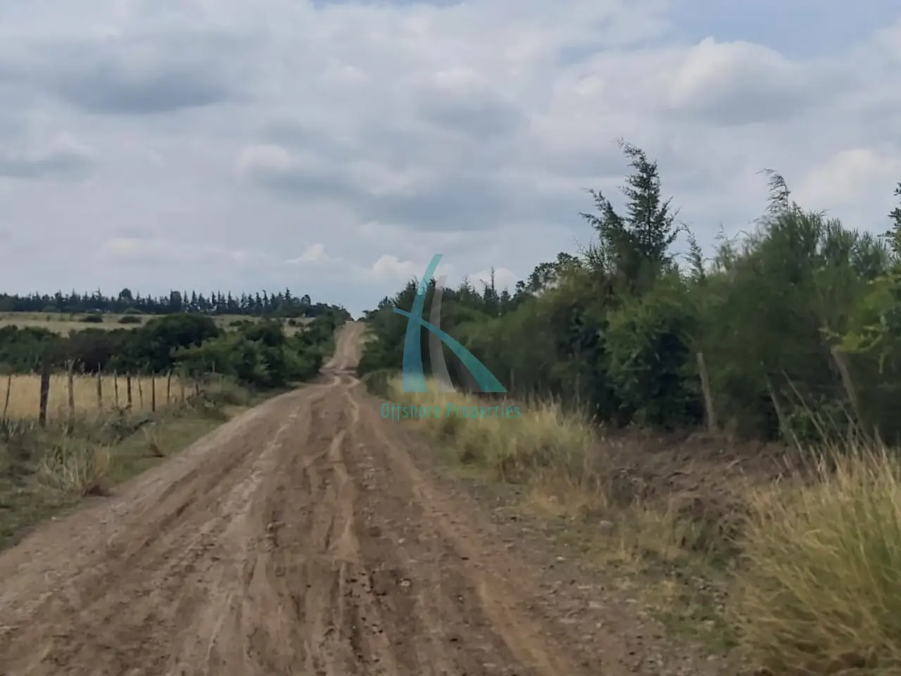 Prime 3 Acre Land for Sale in Nanyuki