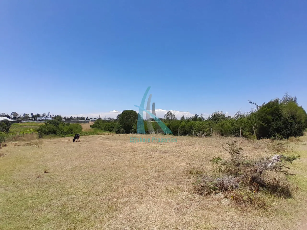 Prime 3 Acre Land for Sale in Nanyuki