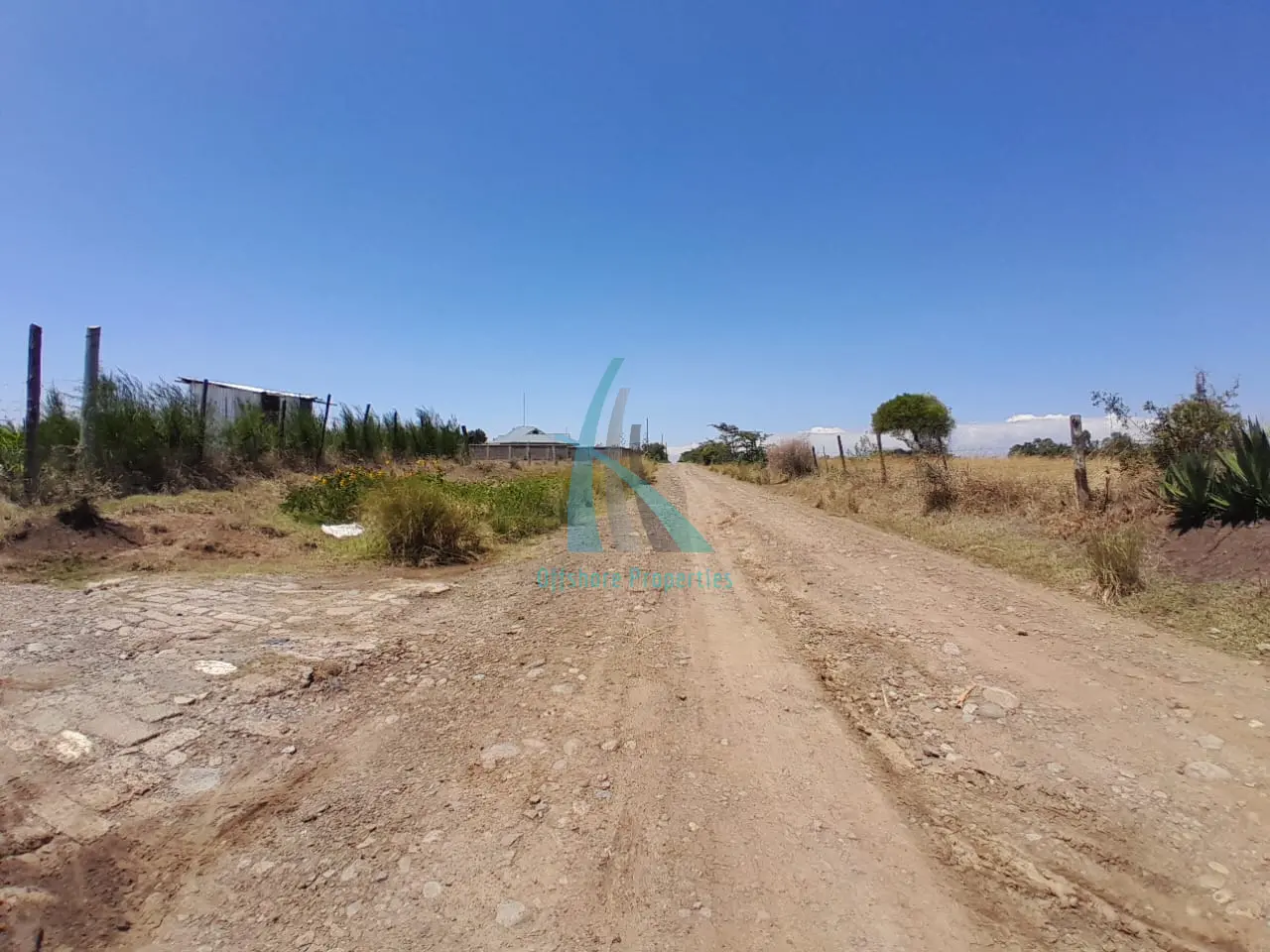 Prime 3 Acre Land for Sale in Nanyuki