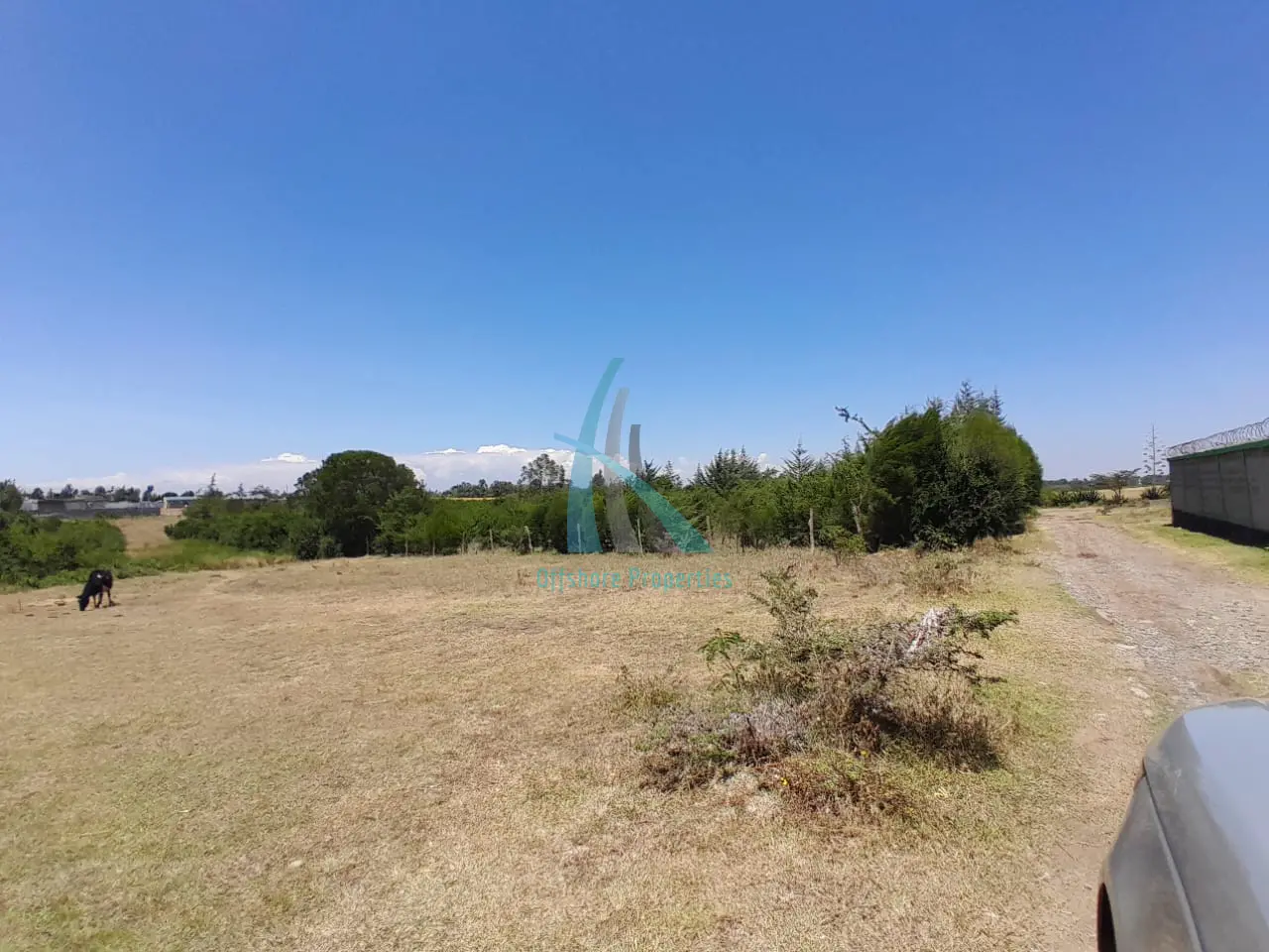 Prime 3 Acre Land for Sale in Nanyuki