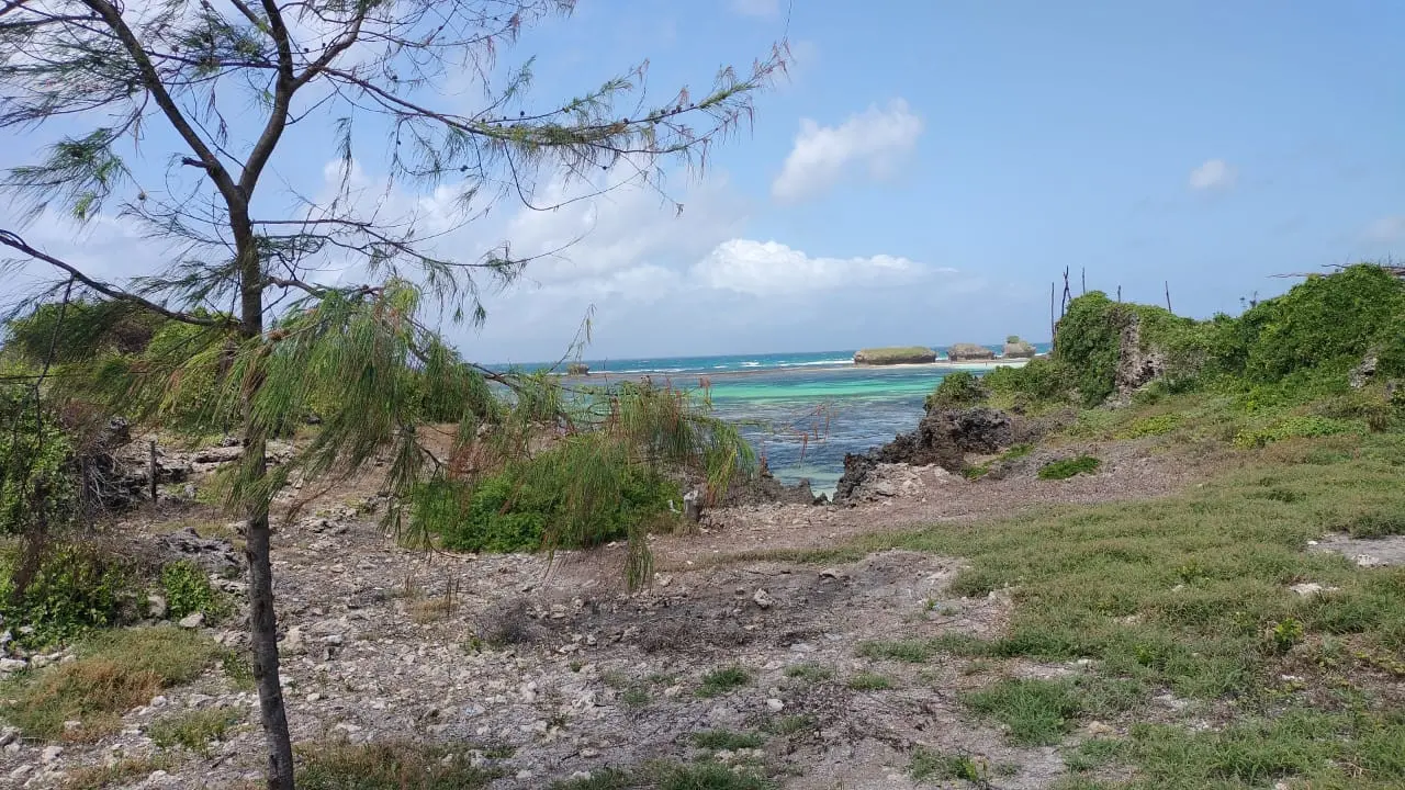 5 Acres Beachfront Property For Sale in Watamu
