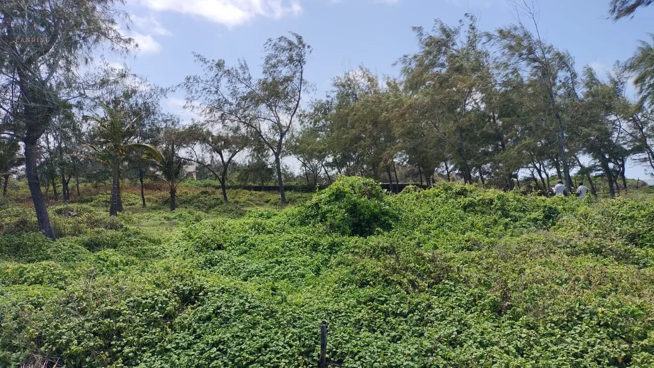 5 Acres Beachfront Property For Sale in Watamu