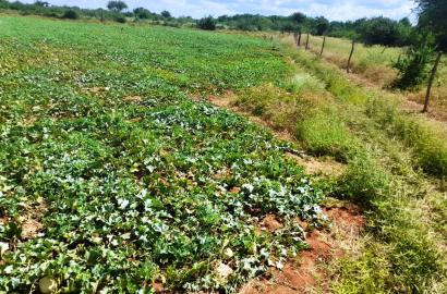 305-Acre Riverfront Farm in Makueni County, Perfect for Agriculture and Eco-Tourism