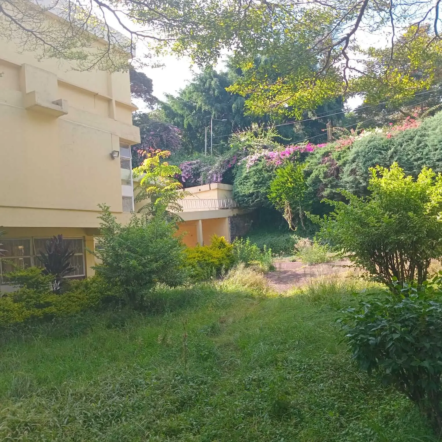 Prime 1.2-Acre Development Plot in Lavington