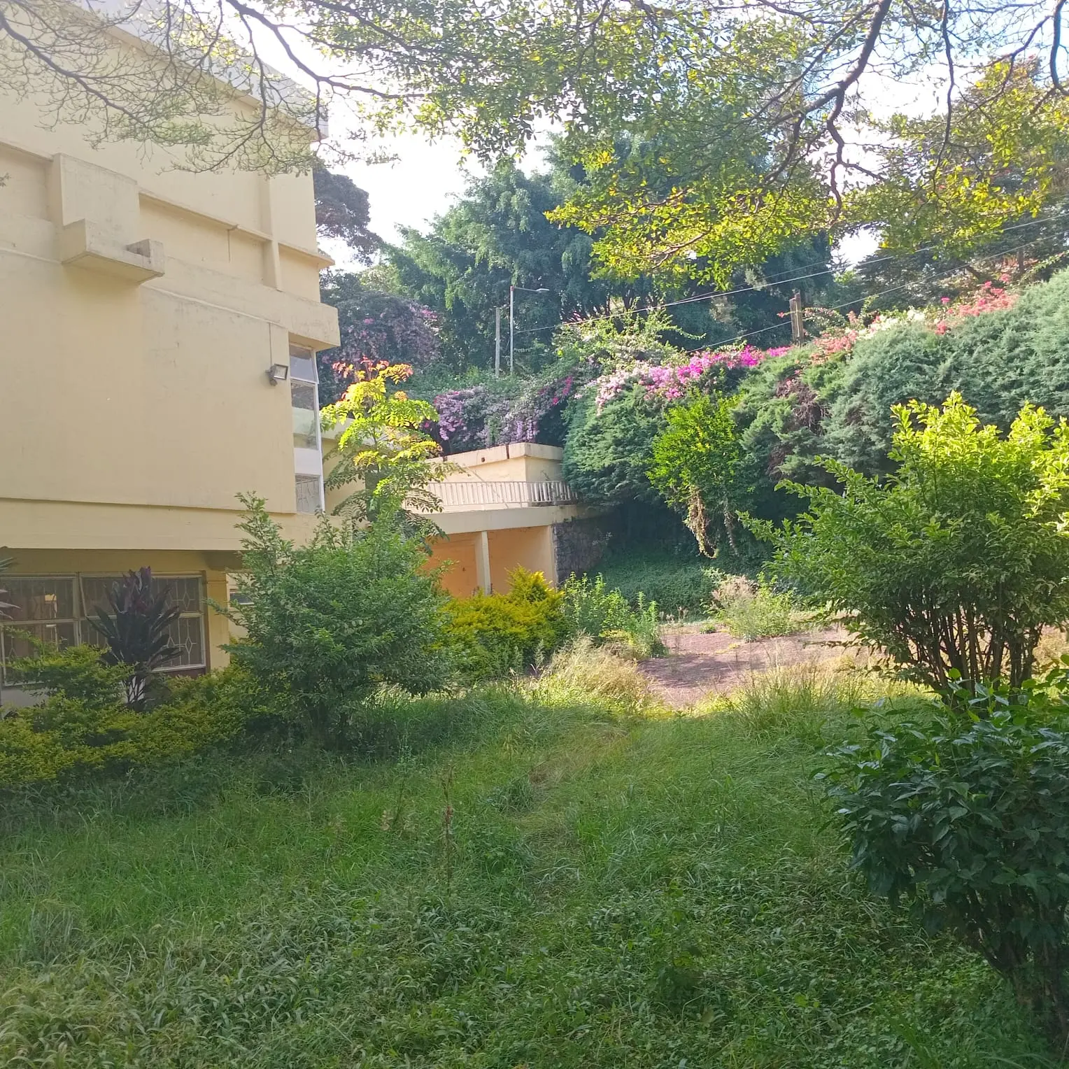 Prime Investment: 1.2-Acre Land for Sale in Lavington