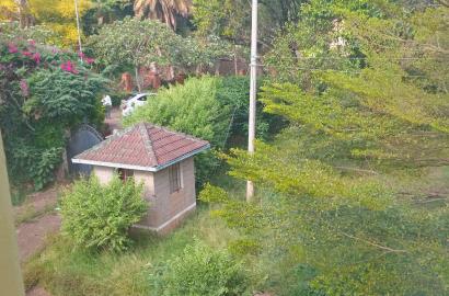Prime Investment: 1.2-Acre Land for Sale in Lavington