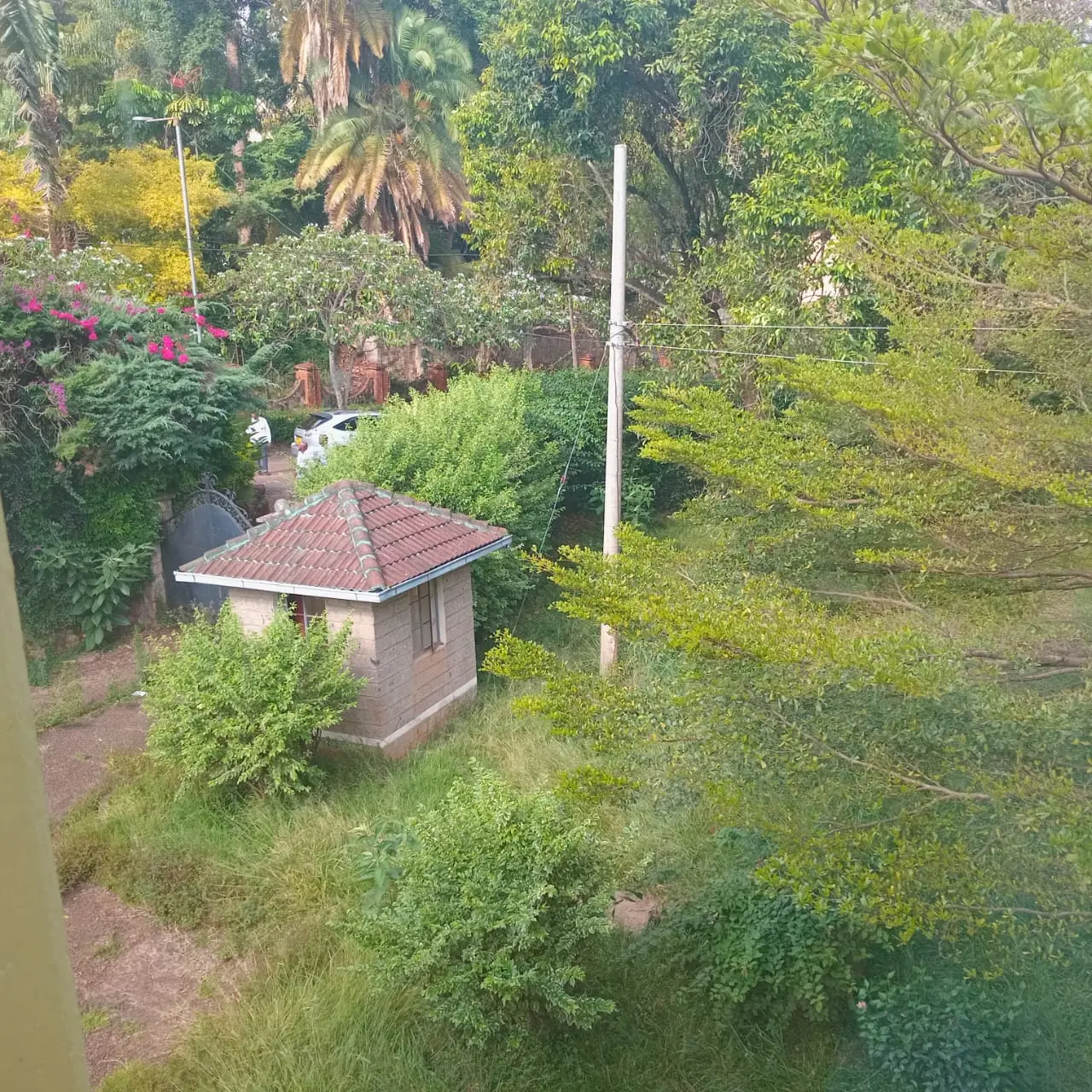 Prime Investment: 1.2-Acre Land for Sale in Lavington
