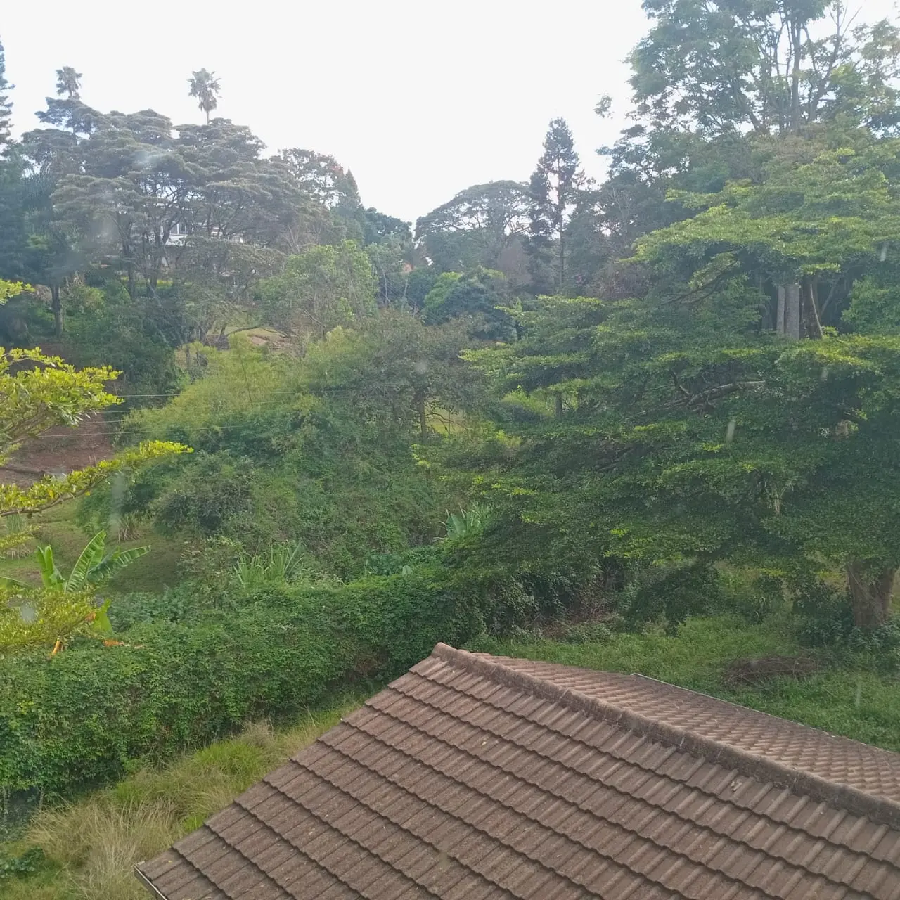 Prime Investment: 1.2-Acre Land for Sale in Lavington
