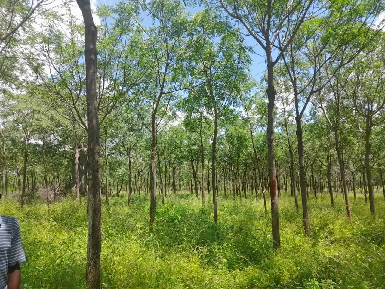 305-Acre Farm with River Frontage in Makueni