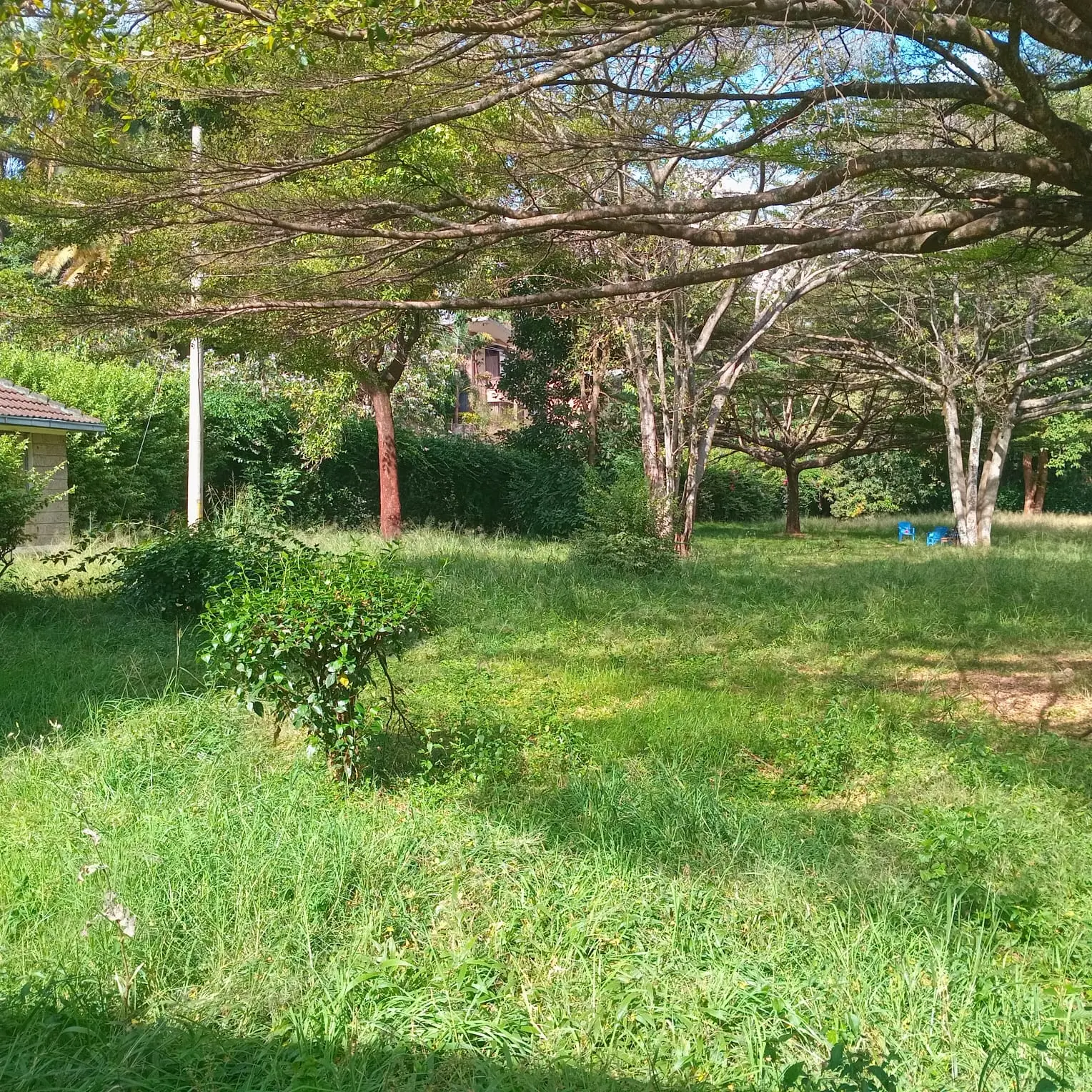 Prime Investment: 1.2-Acre Land for Sale in Lavington