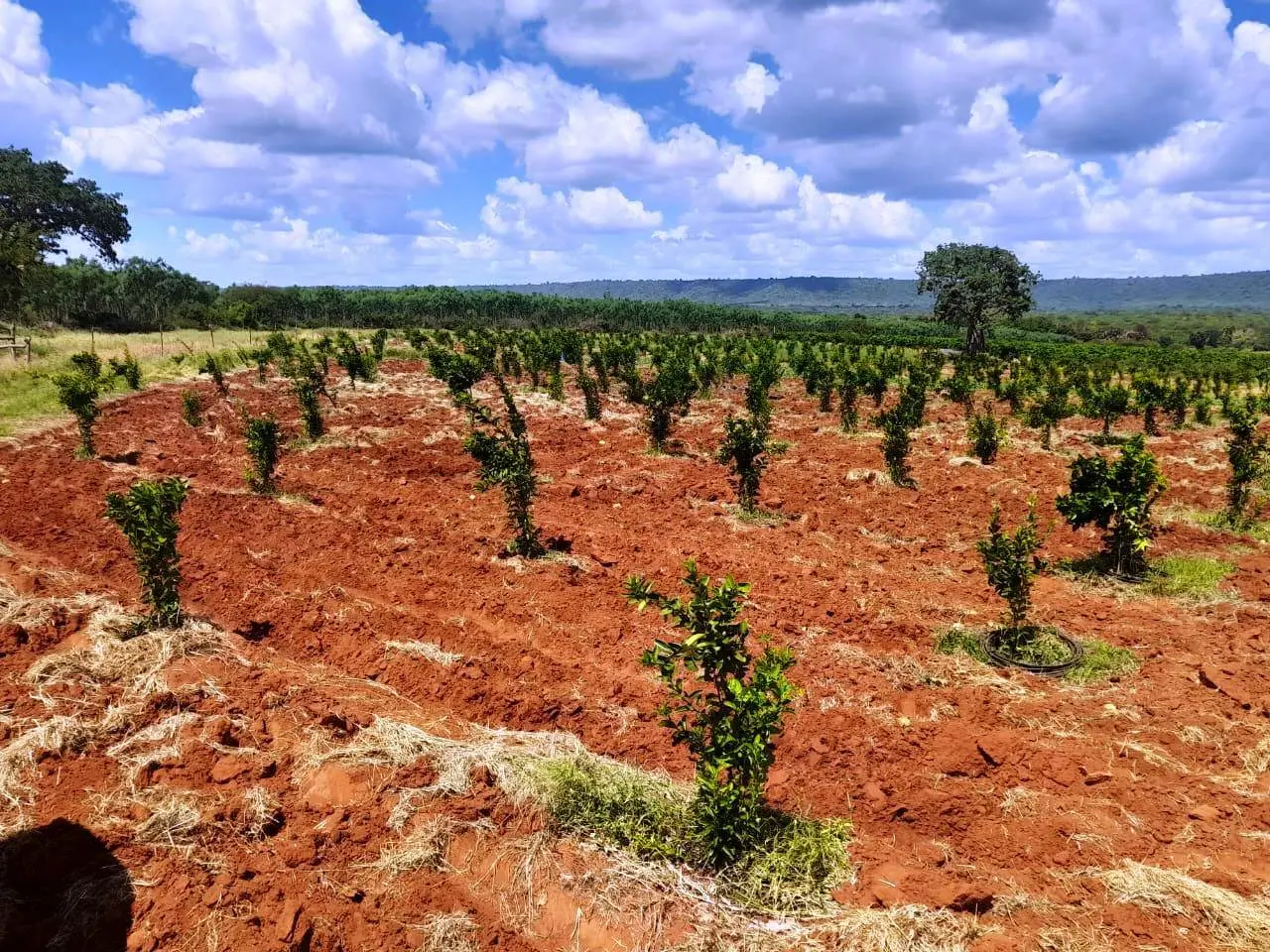 305-Acre Farm with River Frontage in Makueni